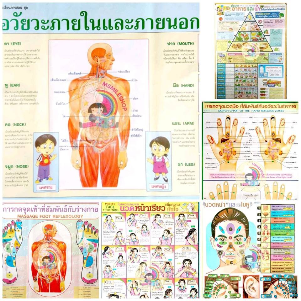 ชุดภาพนวดและภาพร่างกายสำหรับคนรักสุขภาพ-24-แผ่น-พร้อมหนังสือและvcd-กดจุดเท้า