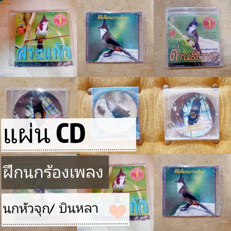 แผ่นเสียง-cd-ฝึกนกร้องเพลง-ซีดีต่อนก-นกปรอด-นกกรงหัวจุก-นกกวัก-นกกางเขนดง