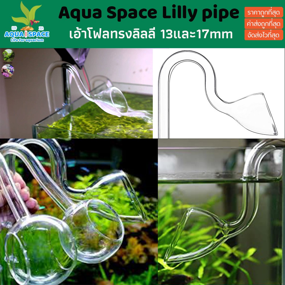 ขายถูก-aqua-space-glass-lilly-pipe-outflow-แก้ว-12mm-16mm-เอ้าโฟลแก้ว-เอ้าโฟล-inflow-outflow-ลิลลี่