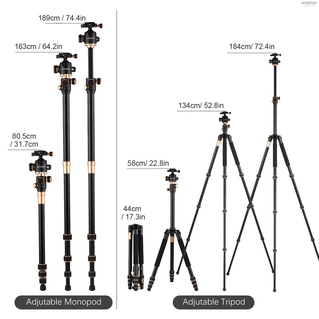 andoer-ขาตั้งกล้องอลูมิเนียม-แบบพกพา-184-ซม-72-4-นิ้ว-รับน้ําหนักได้-8-กก-17-6-ปอนด์-พร้อม-360-องศา-กระเป๋าหัวบอล-หมุนได้-สําหรับกล้อง-dslr-c