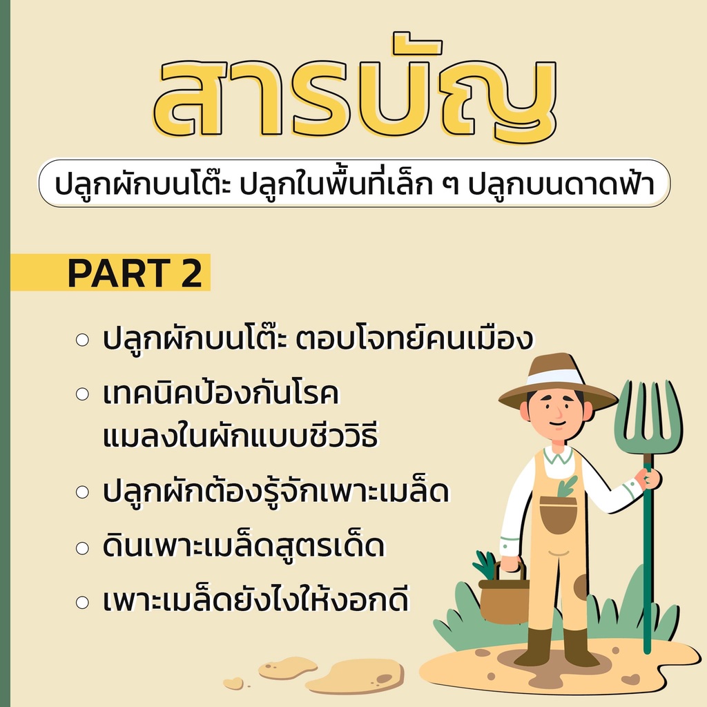 ปลูกผักบนโต๊ะ-ปลูกบนพื้นที่เล็ก-ๆ-ปลูกบนดาดฟ้า-7d-book-เซเว่นดี-บุ๊ค