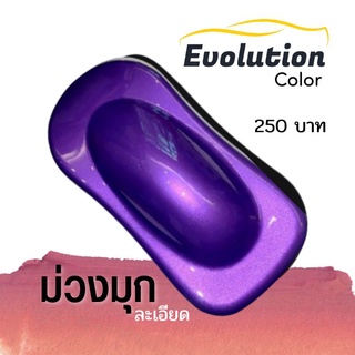 Evolutioncolor​ สเปรย์​สีม่วงมุกละเอียด สำหรับพ่นรถยนต์
