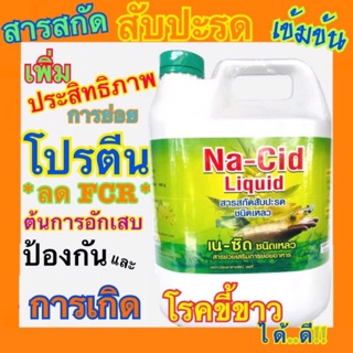 อาหารเสริมกุ้ง เนซิด NACID สารสกัดสับปะรด เข้มข้น 1 แกลลอน 5 กิโล ป้องกัน และ ลดโรคขี้ขาว ในกุ้ง ช่วยระบบการย่อย ได้ดี