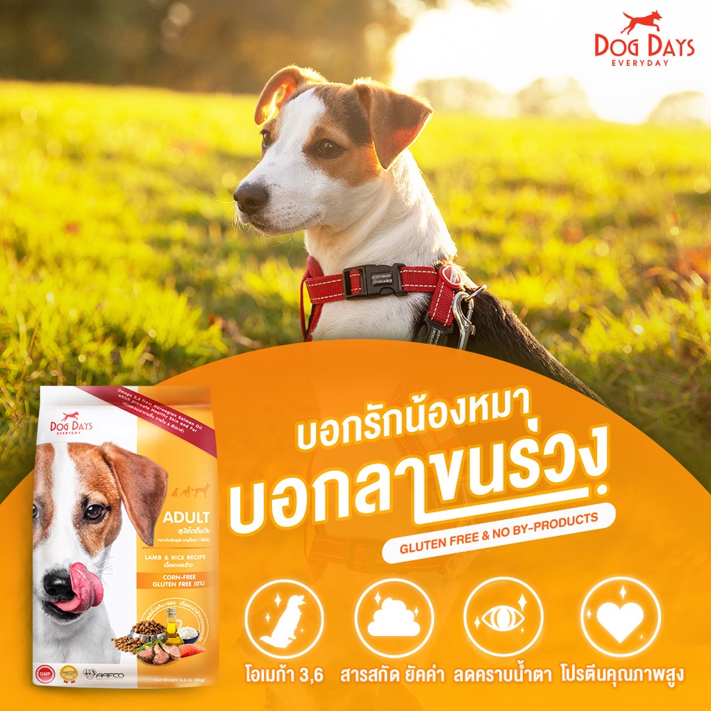 3kg-dog-days-อาหารสุนัข-เม็ดพรีเมียม-สำหรับสุนัขโต-สูตรเนื้อแกะและข้าว-ขนาด-3-กิโลกรัม-ส่งแบบกระสอบ