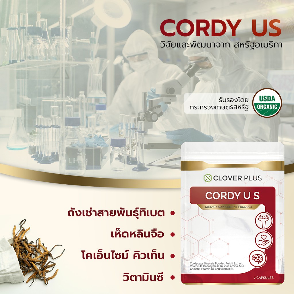 clover-plus-cordy-us-คอร์ดี้-ยูเอส-สารสกัดจากถั่งเช่าและเห็ดหลินจือ-ขนาด-7-แคปซูล-1-ซอง