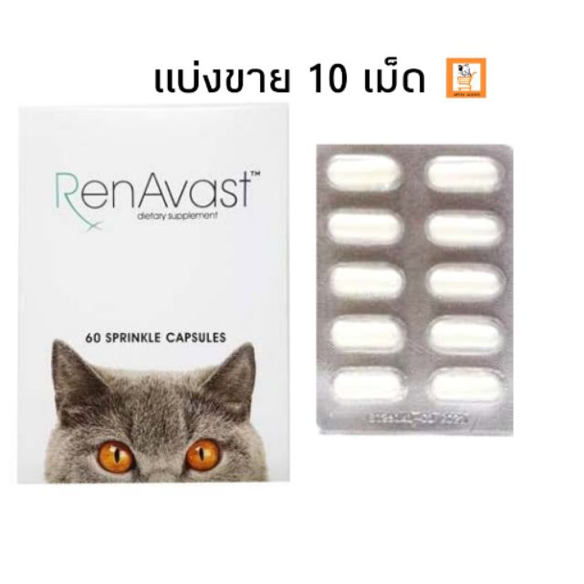 renavast-แท้-แบ่งขาย-10-เม็ด-อาหารเสริมบำรุงไต-แมว-อาหารเสริม-ไต