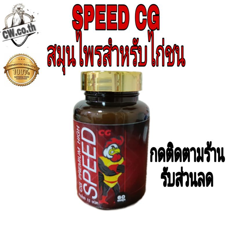 cg-premium-high-speed-cg-speed-cg-พรีเมี่ยมไฮสปีด