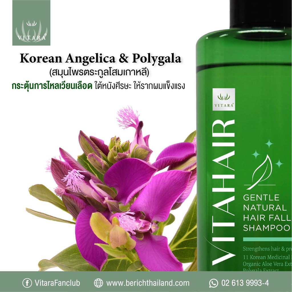 vitahair-shampoo-ไวต้าแฮร์-สมุนไพรorganic-เกาหลีแท้-ลดผมร่วง-เร่งการเจริญเส้นผม-อ่อนโยนต่อหนังศรีษะ-250มล