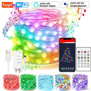 Smart Curtain Christmas String Lights WiFi Outdoor DIY 400 RGBIC LEDs 6.6 x  6.6FT Lights Remote Control Dynamic DIY Music Timer Waterproof Color