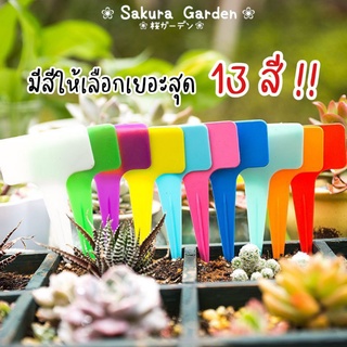 ภาพหน้าปกสินค้าซื้อ10แพคแถมฟรีปากกา!! ป้ายชื่อต้นไม้รูปตัว T (20ชิ้น/19บาท) ขนาดใหญ่ 6 x 10 cm. แท๊กต้นไม้ ป้ายชื่อพลาสติก ที่เกี่ยวข้อง