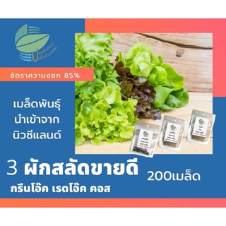 เมล็ดผักสลัดขายดี 3 ชนิด ชนิดละ 200 เมล็ด กรีนโอ๊ค(Green Oak) เรดโอ๊ค(Red Oak) คอส(Cos)