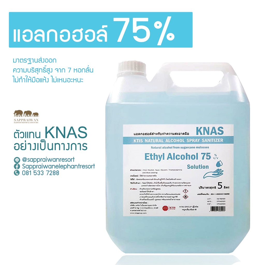 รูปภาพสินค้าแรกของแอลกอฮอล์ ราคาถูก  Knas Alcohol 75%แบบน้ำ 5 ลิตร ราคา 339 บาท