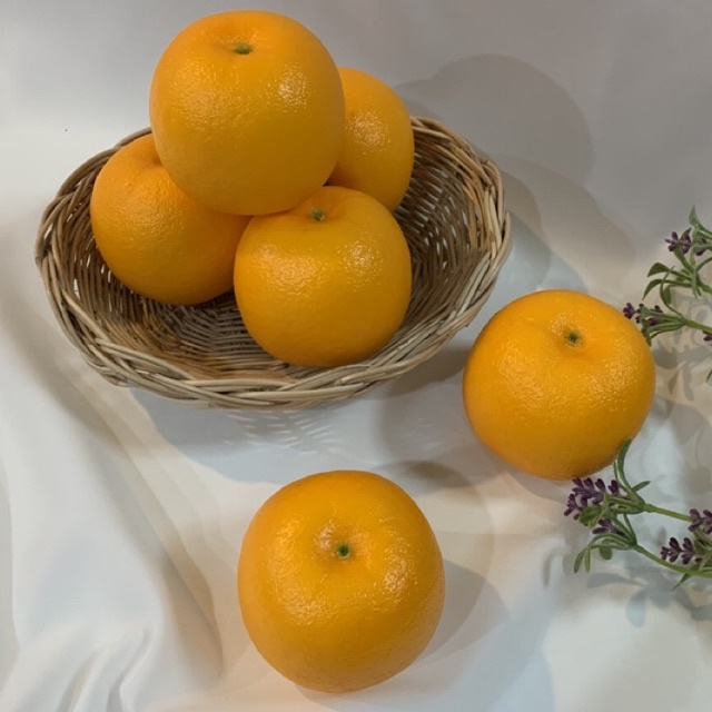 ส้มปลอมลูกละ49บาท-fruit-orange-ส้มปลอม-สัมซันควิก-ผลไม้ปลอม-ผลไม้ตกแต่ง-ตกแต่งร้าน-พร็อพถ่ายรูป