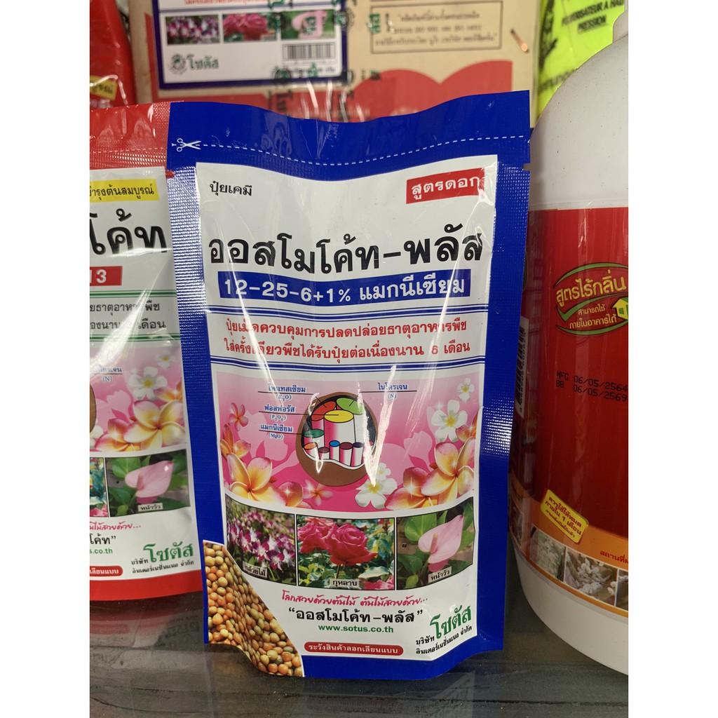 ออสโมโค้ทพลัส-osmocote-plus-สูตร-12-25-6-1-magnesium-ปุ๋ยละลายช้า-สูตร-6เดือน-ขนาดซอง-100กรัม