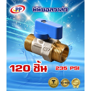 มินิบอลวาล์วทองเหลือง 2 ทาง PP(พีพี) ขนาด 1/2" (4 หุน)  M.M. ,  F.F.  , F.M. จำนวน 1 ลัง  ( 120ชิ้น )