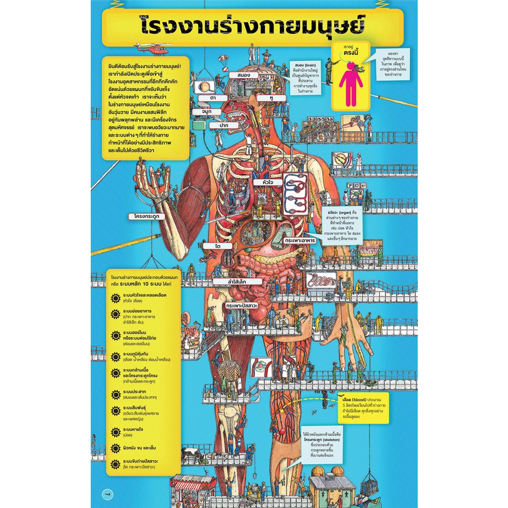 1-โรงงานร่างกายมนุษย์-กฤติกา-ชินพันธ์-ศุภวิทย์-วิรชานุสรณ์