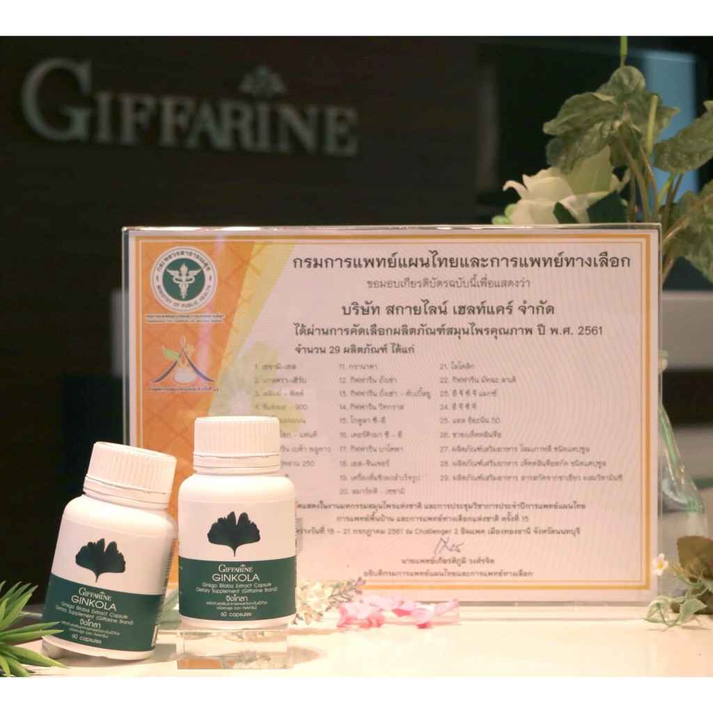 ภาพสินค้าGINKOLA GIFFARINE จิงโกลา กิฟฟารีน  สารสกัดจากแปะก๊ยว อาหารเสริม จากร้าน thanakornngamchalard บน Shopee ภาพที่ 1