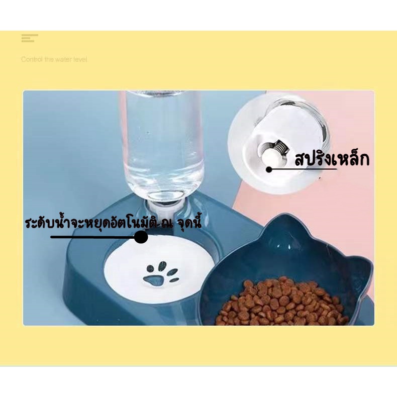 c-amp-d-พร้อมส่ง-pet-bowl-ชามให้อาหารพร้อมน้ำสำหรับสุนัขและแมว-ชามอาหารหมาแมว-พร้อมให้น้ำอัตโนมัติ-ชามอาหารสัตว์เลี้ยง