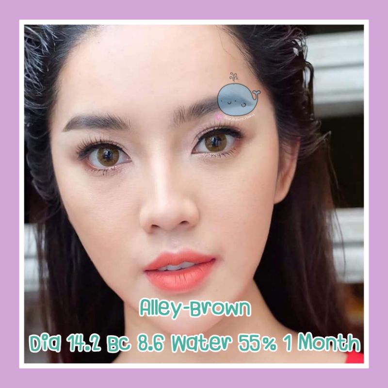 alley-brown-gray-สายตา-00-700-รายเดือน