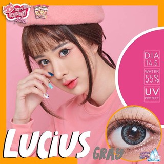 Lucius Gray (1) บิ๊กอาย สีเทา เทา โทนแบ๊ว ขอบดำ ลายสวย เลนส์พรีเมี่ยม Contact Lens Bigeyes คอนแทคเลนส์ Kitty Kawaii