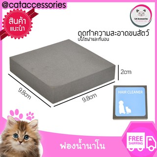 Cataccessories ฟองน้ำเก็บขนสัตว์ ฟองน้ำนาโน ฟองน้ำทำความสะอาดโซฟาที่ เฟอร์นิเจอร์ที่มีขนสัตว์ติด ทำความสะอาดด้วยน้ำได้