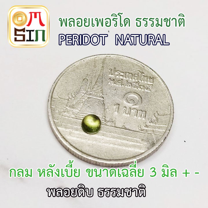 a187-omsin-เฉลี่ย-3-มิล-หลังเบี้ย-กลม-พลอยเพอริโด-peridot-สีเขียวอ่อน-พลอยสด-ไม่เผา-ธรรมชาติแท้