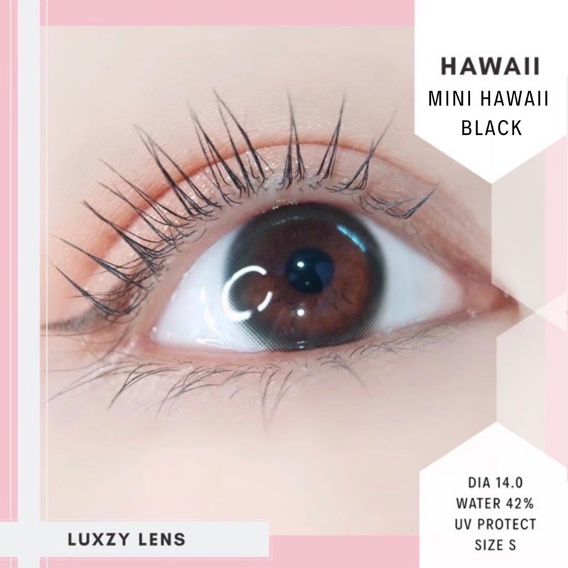 mini-hawaii-black-ค่าสายตา-0-00-600-luxzy-lens-คอนแทคเลนส์-contactlen