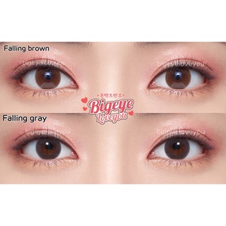คอนแทคเลนส์ 🌈Falling🌈 Brown/Gray (Sweety Soft) ขนาดมินิ 💖ขายดี🍭สุดฮิตจากเกาหลี🔥