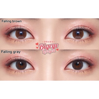 ภาพหน้าปกสินค้าคอนแทคเลนส์ 🌈Falling🌈 Brown/Gray (Sweety Soft) ขนาดมินิ 💖ขายดี🍭สุดฮิตจากเกาหลี🔥 ที่เกี่ยวข้อง