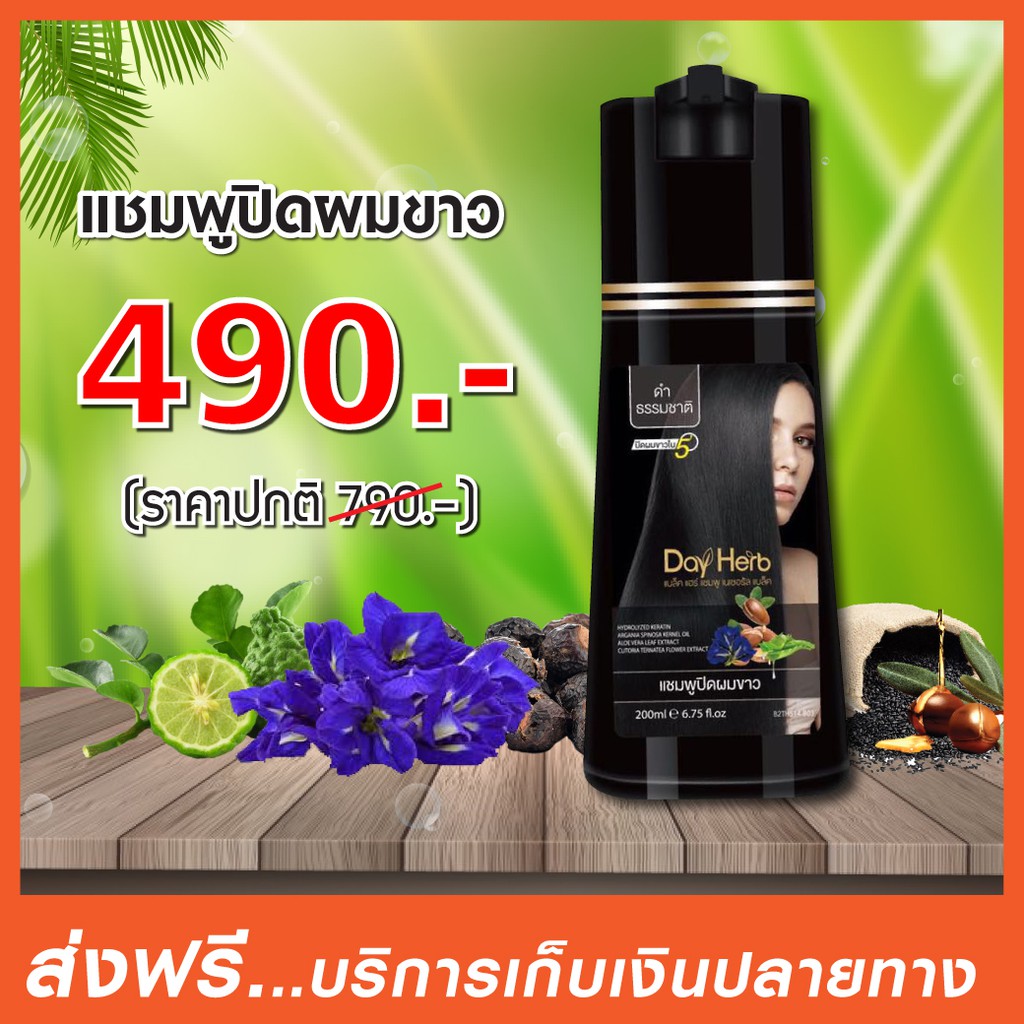 dayherb-แชมพูปิดผมขาว-สมุนไพรแท้-ปิดหงอก-ลดหงอก-ใน-5-นาที