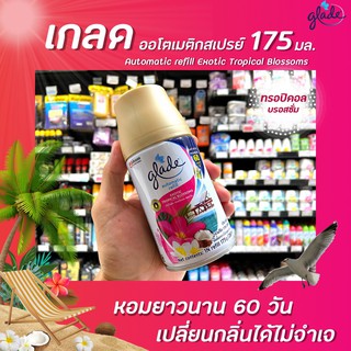 🔥รีฟิล เกลด ออโต้ สเปรย์ เอ็กโซติก ทรอปปิคอล ฟรอรัล 175ก. glade automatic spray exotic Tropical Blossom ออโตเมติค (0660)