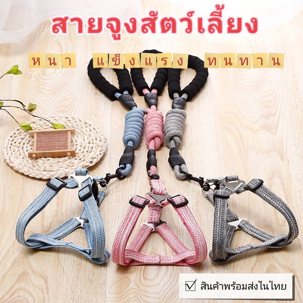 n045-สายจูงหมา-สายจูงแมว-สายจูงสัตว์เลี้ยง-มี5สี