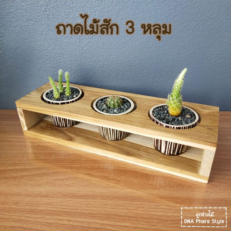 ถาดไม้สัก-3-หลุม-ใช้ได้กับต้นไม้และแก้ว