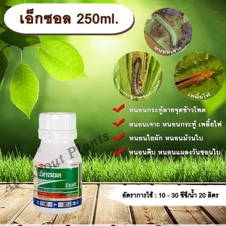 เอ็กซอล 250ml. สไปนีโทแรม สารกำจัดแมลง เพลี้ยไฟ หนอน หนอนกระทู้ลายจุดข้าวโพด หนอนเจาะ หนอนใยผัก หนอนคืบ allaboutplants