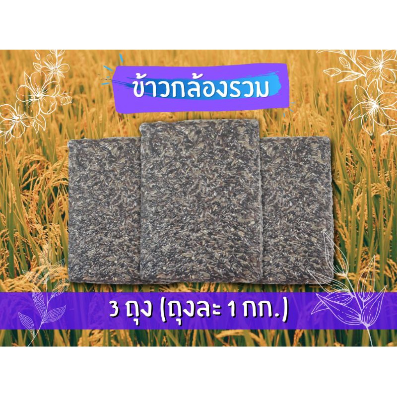 ข้าวกล้องรวม-ข้าวปลอดสาร-ชาวนาปลูกเอง-ขายเอง-บรรจุถุงละ1-กก-จำนวน-3-ถุง