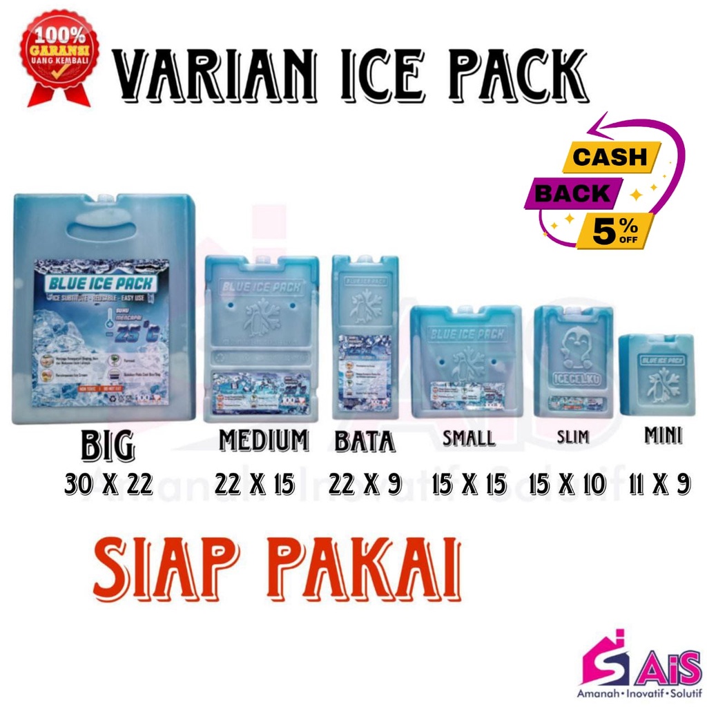 แพ็คน้ําแข็ง แบบเปลี่ยน สีฟ้า สําหรับ DRY ICE Substitute For ICE Cubes