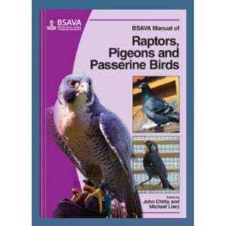 Bsava นกแร็ปเตอร์ นกพิราบ และนกพาสเทอรีน แบบแมนนวล