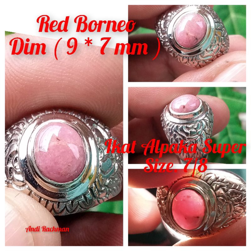 Red Borneo Naturall Kalimantan (ไฟฉายโปร่งแสง) | Shopee Thailand