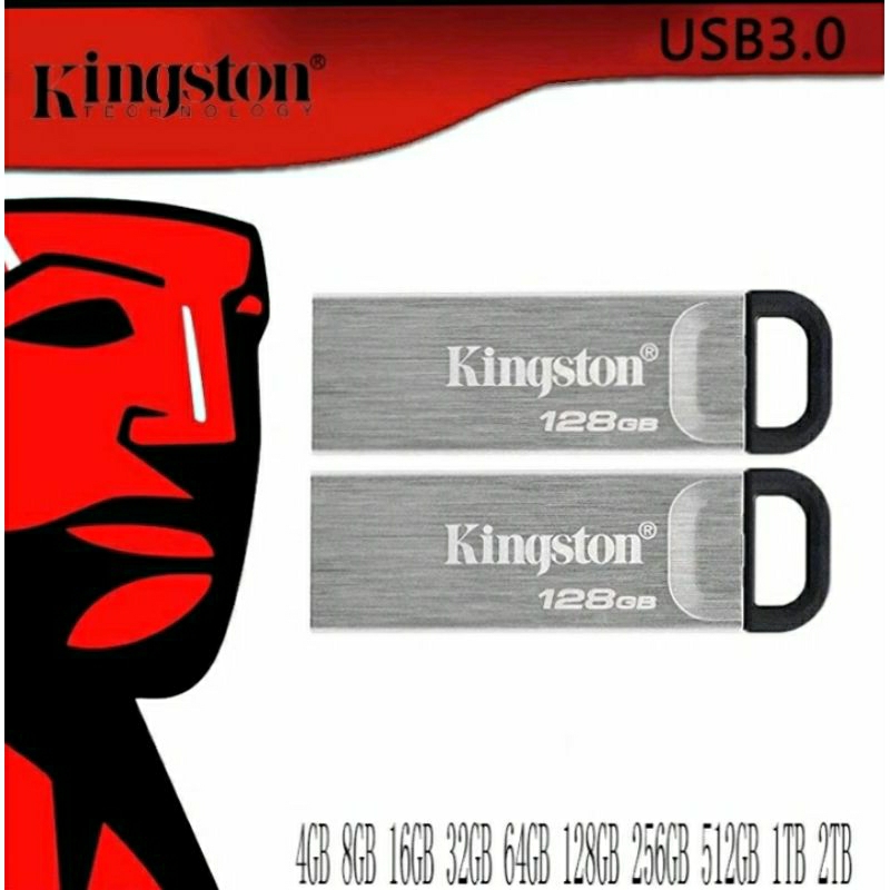 Kingston IRON Flash DISK 2GB 4GB 8GB 16GB 32GB 64GB 128GB Data Traveler ...