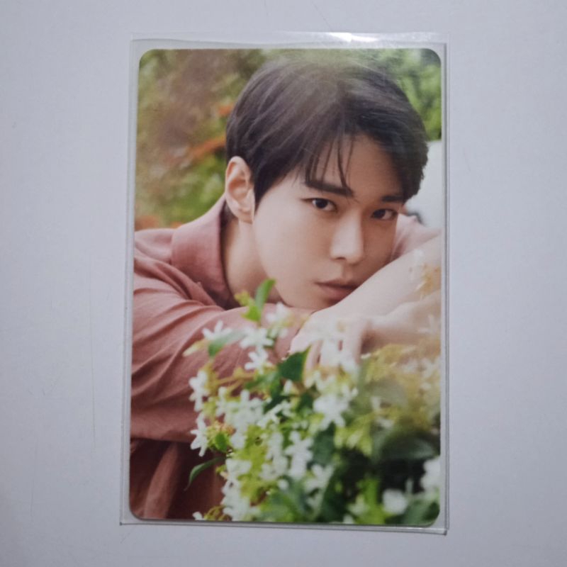 Doyoung NCT 127 DICON 101 โฟโต้การ์ด ไม่วางทอง อายุรวบรวม อย่างเป็นทางการ Shopee Thailand