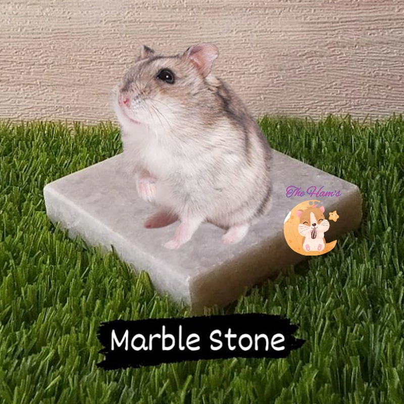 (The Hams) COOLING PAD HAMSTER MARBLE MARBLE HAMSTER COOLING Bed