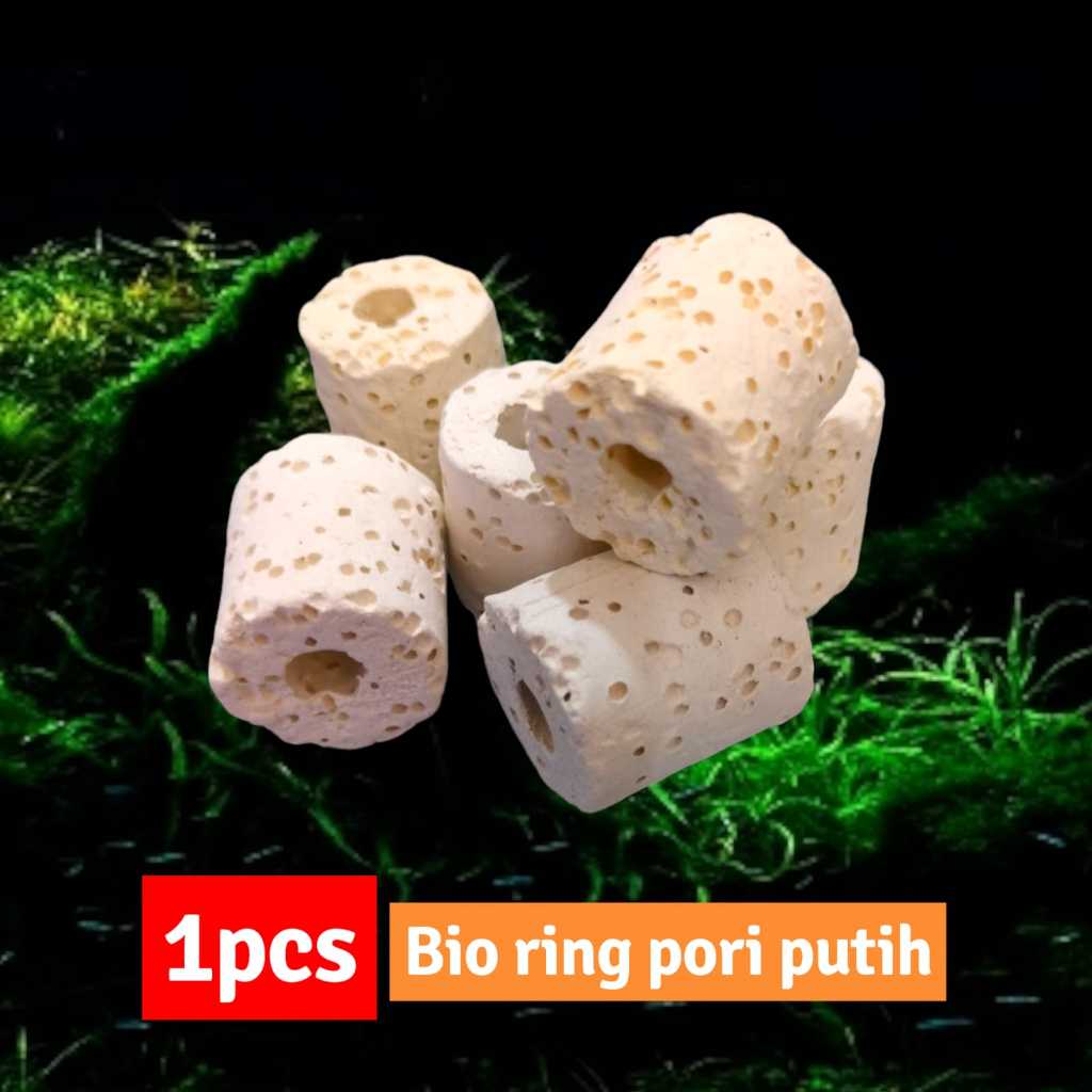 SOLD ต่อ PCS Premium Bio Ring Pore Bacteria Home Pond Aquarium Filter ...