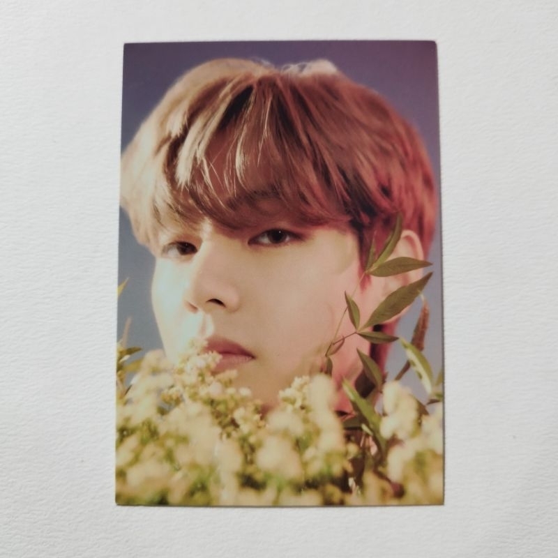 Taehyung Hybe Insight MPC | Shopee Thailand
