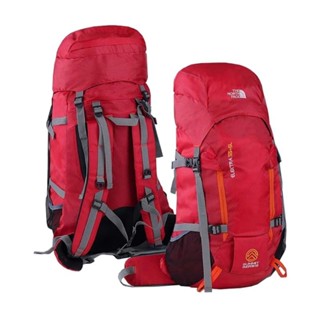 The north cheap face 45l