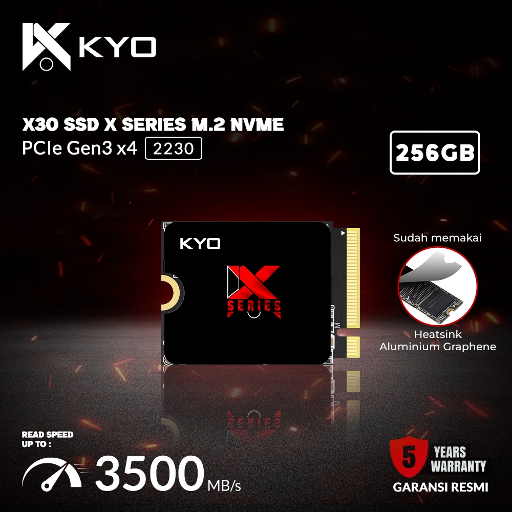 Kyo X30 2230pcie 3.0 X Series 256GB Nvme SSD M.2 Nvme Gen3 x4 Nvme Gen ...