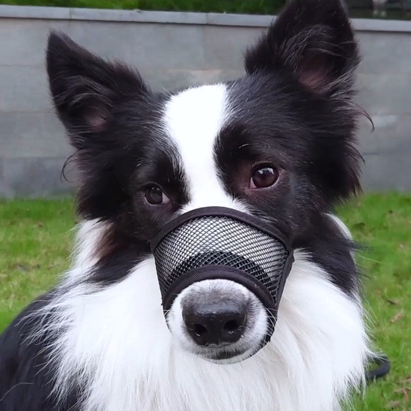 ตะกร้อครอบปาก-ผ้าตาข่าย-ระบายอากาศ-ป้องกันการกัด-ขนาดใหญ่-กลาง-และเล็ก-สําหรับสัตว์เลี้ยง-สุนัข