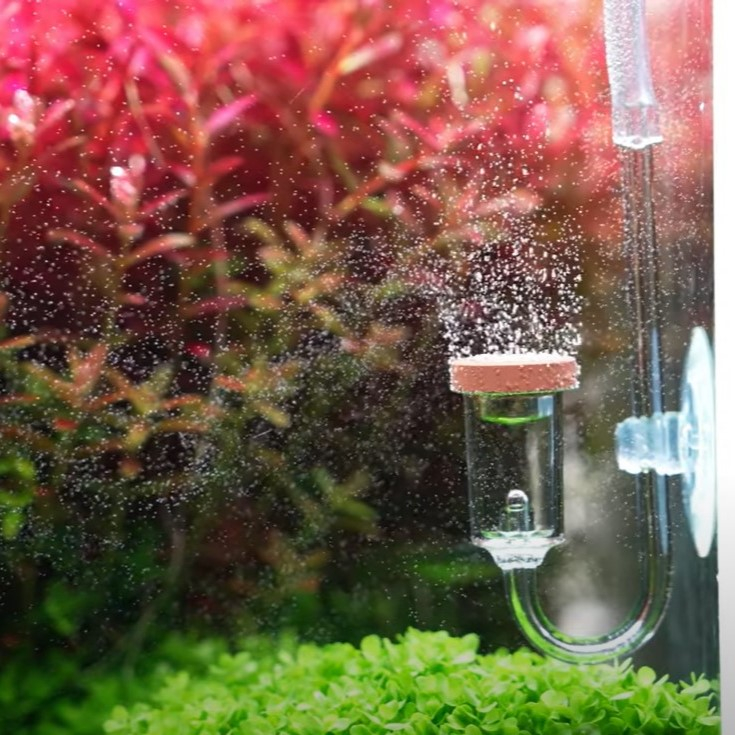 Chihiros Nano CO2 Diffuser อุปกรณ์ตู้ปลา | Shopee Thailand