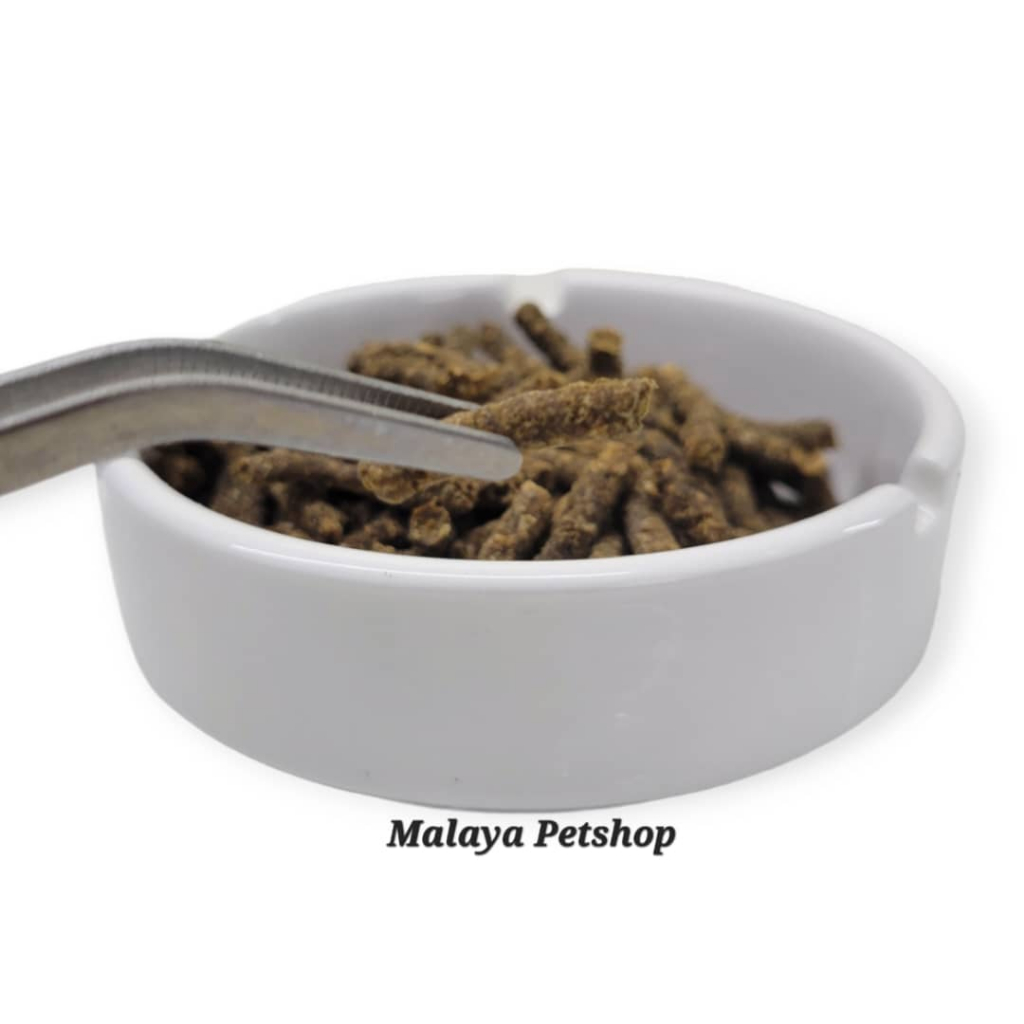 เม็ดเมซี่เยลโล่ (Pellet channa Keluar Agha Fish)(Sesuai for channa ...