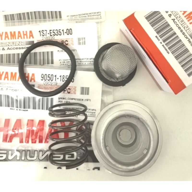 Oil Drain Plug, O-Ring & Spring Kit For Yamaha Raptor, Warrior, Big