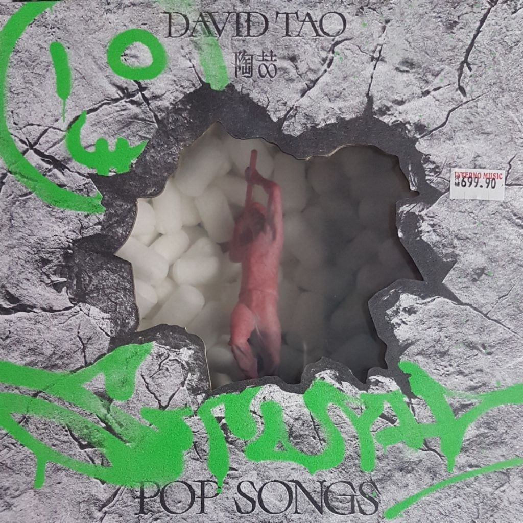 STUPID POP SONGS DAVID TAO visual data 3